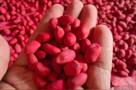 驱赶田间鸟类，用这几招效果好图片