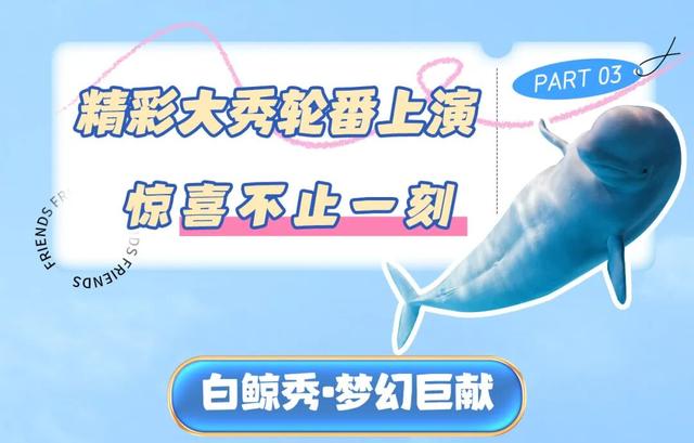 叮咚！你有一份来自哈尔滨极地公园的初冬邀请函！请查收！