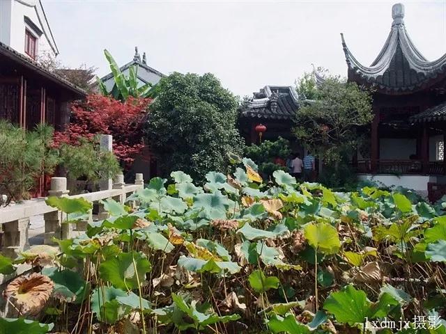 太湖第一古村,陆巷古村
