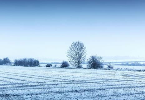 冬天冷不冷，就看立冬，今天立冬，今年冬天会冷到哭吗？