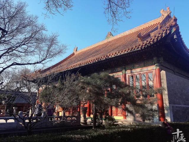 北京城居然还有这样一座“宝刹”带你了解“广济寺”的前世今生！