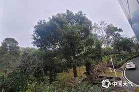 今晚起湖南将现较强降雨过程 怀化邵阳等地局部有暴雨并伴强对流图片