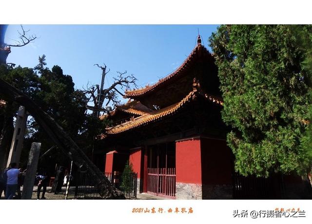 山东行游影记（213）—曲阜孔庙（八）