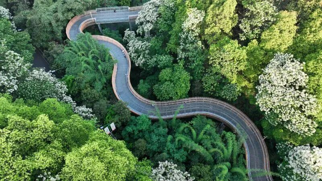 真香系列！西昌直飞50分钟，往返才400块！