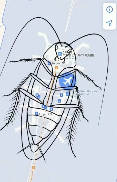 广州白云机场T3亮相，为什么大家都觉得像“甲虫”？