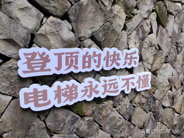 2025国庆第二天游：温州百丈漈