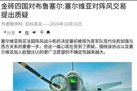 要加入金砖国家？塞尔维亚会放弃阵风，选择歼10CE?图片