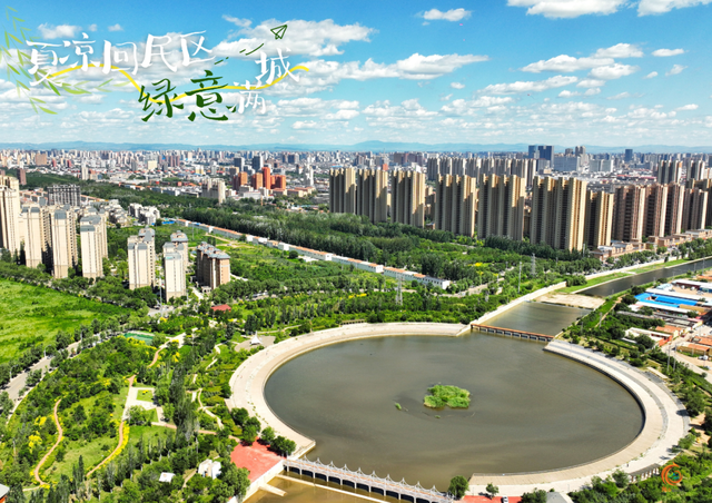 呼和浩特市回民区的夏天，是“植”得N刷的绿！