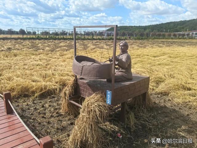【邂逅山河 祝福祖国】打翻“调色盘”：五常凤凰山邂逅林海盛宴，稻乡小镇漫步金色田园