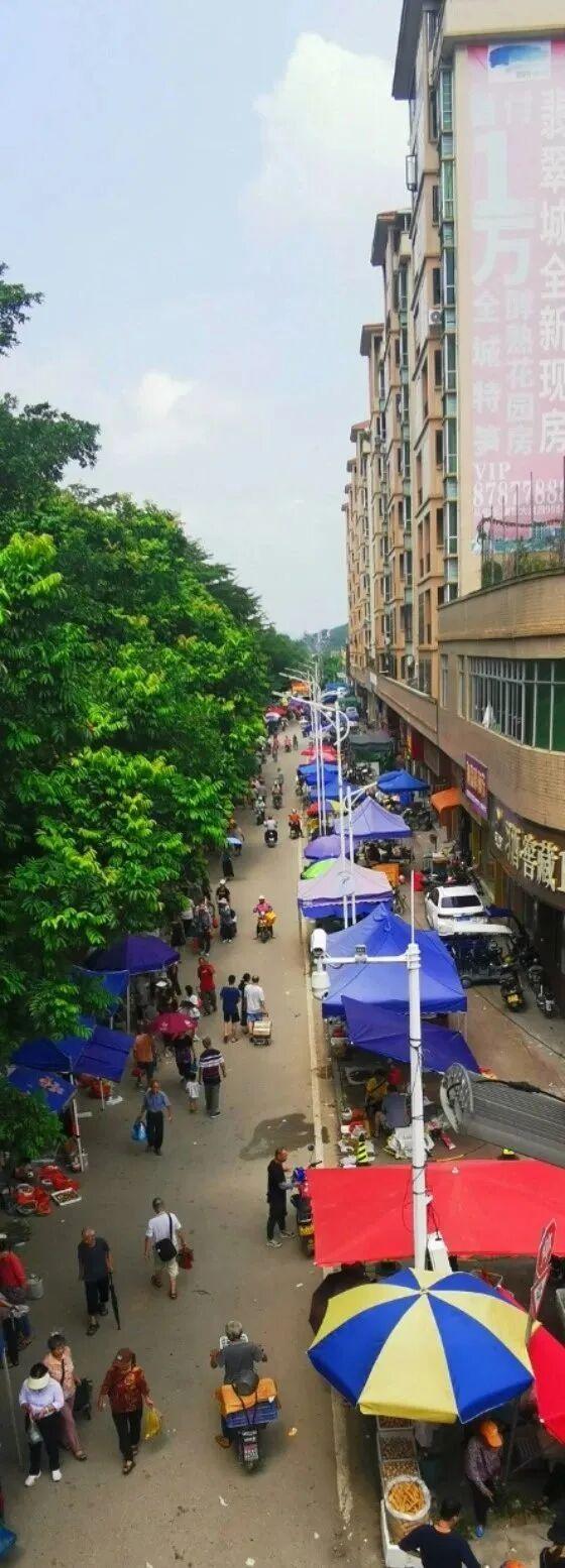 趁墟了喂！打卡从化鳌头墟，感受烟火里的人文慢时光