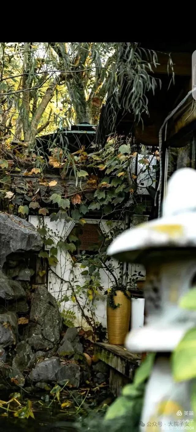 黎如芷｜一园藏尽徽州魂，刘园古徽州文化园