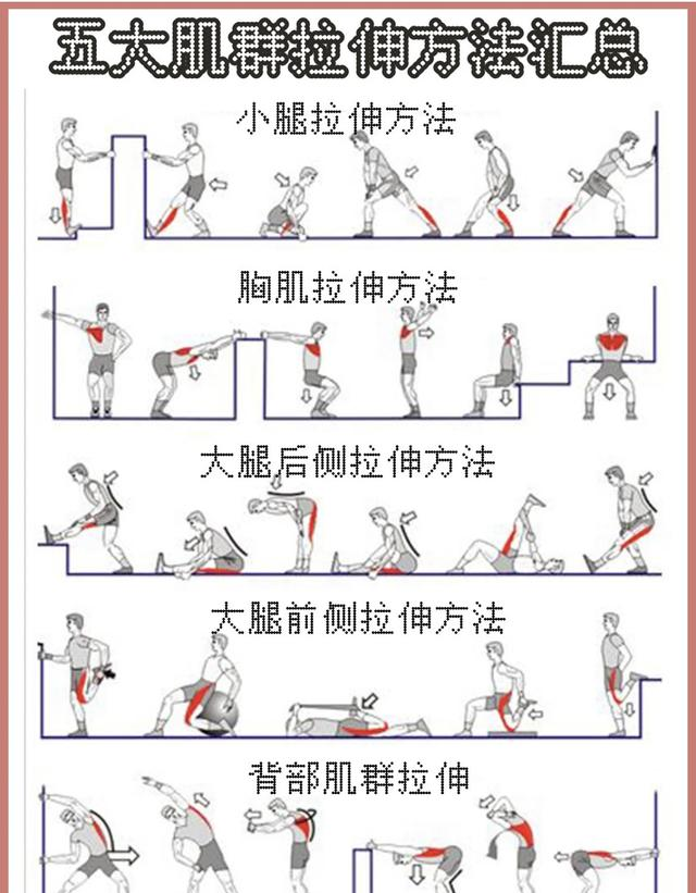 中老年人健身，为什么更需要增肌锻炼？