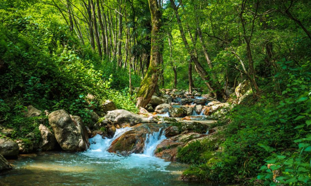 40条！浙江省名山公园精品线路发布