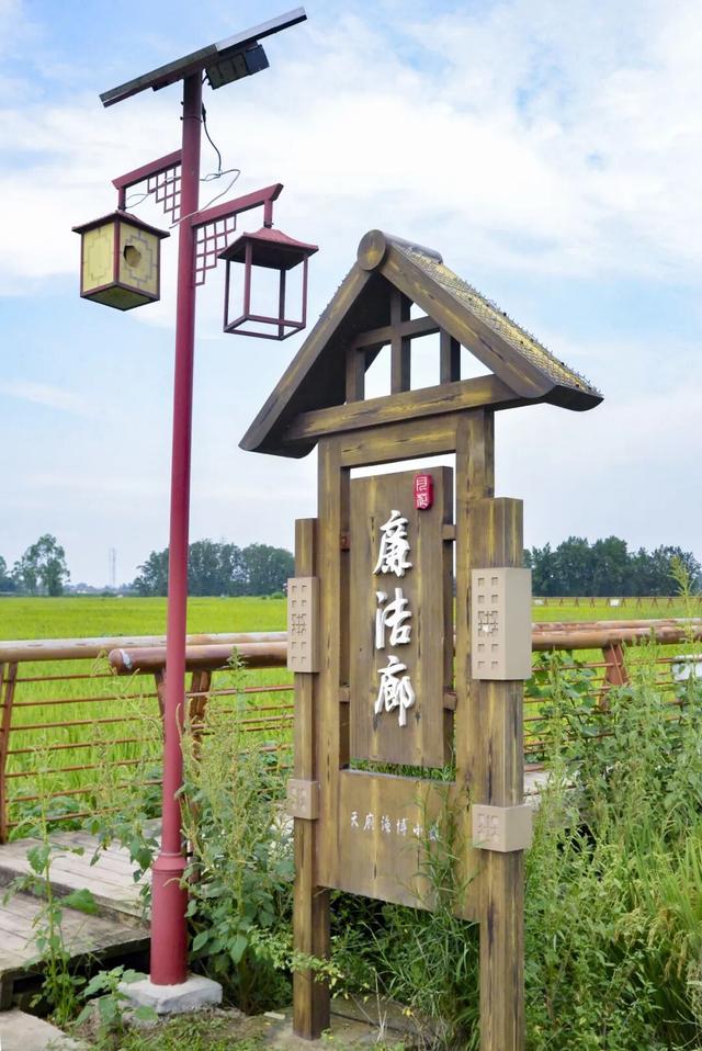 稻浪、长廊、观景台……新津宝藏乡村，“丰”景入画