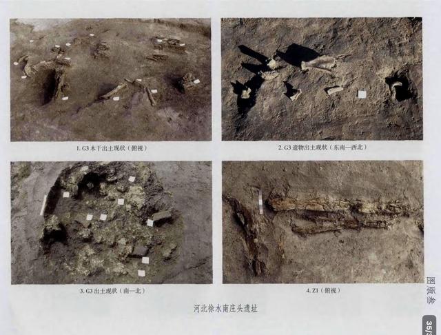 保定徐水砖厂工人在地里挖土，不料，一锹挖出万年前的“农家乐”