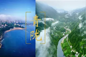 山海同频 青陇共兴——青岛•陇南东西协作高质量发展纪实图片