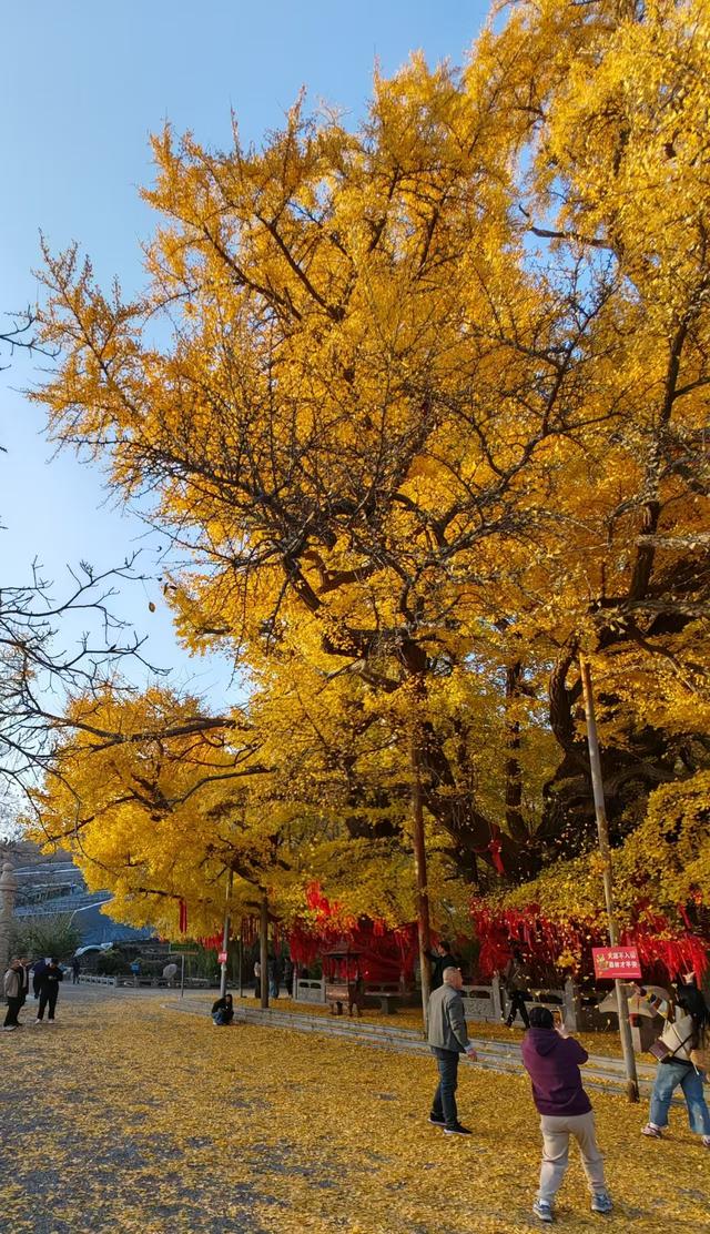 公冶长书院的文化融合