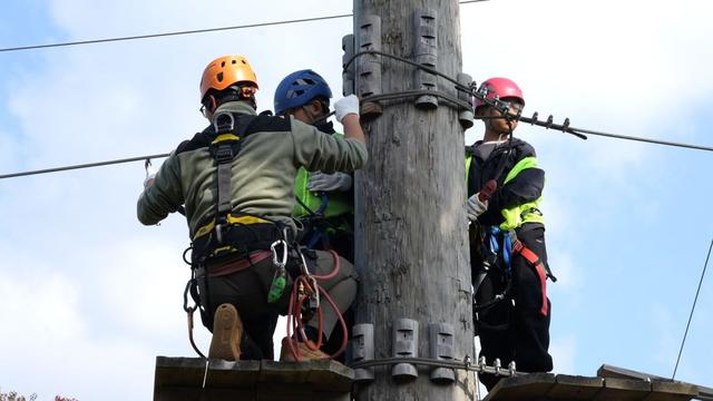 “秋假大军”涌入，湖州市各景区热度飙升