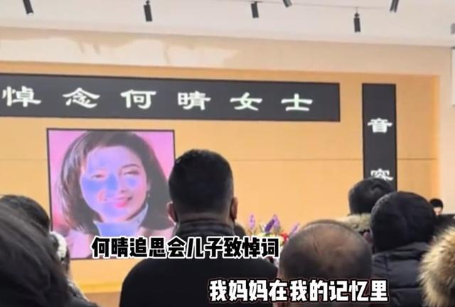 何晴为啥没要儿子的抚养权？