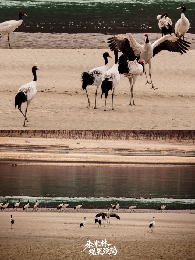 这个冬天，一定要来西藏看……