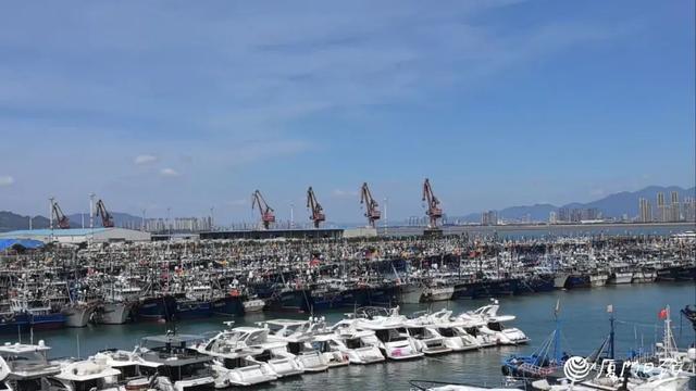 停运、停航、闭园！厦门预警升级！台风“杨柳”最新路径！