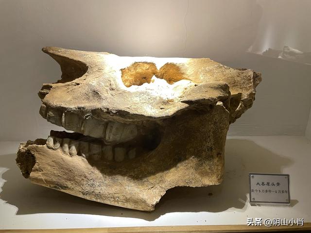呼和浩特市托克托县田野考察笔记