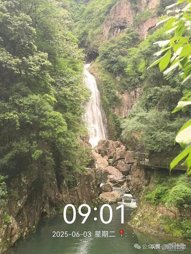 温州这个亲子游玩胜地、植物自然课堂孩子玩嗨家长不累