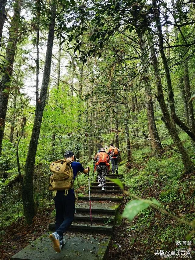 秋高气爽徒步季,浙南第一高峰等你走起!