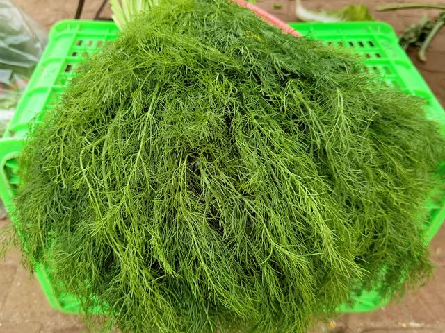 9月买时令菜，认准这5种！不打农药还便宜，鲜嫩营养，吃着特放心