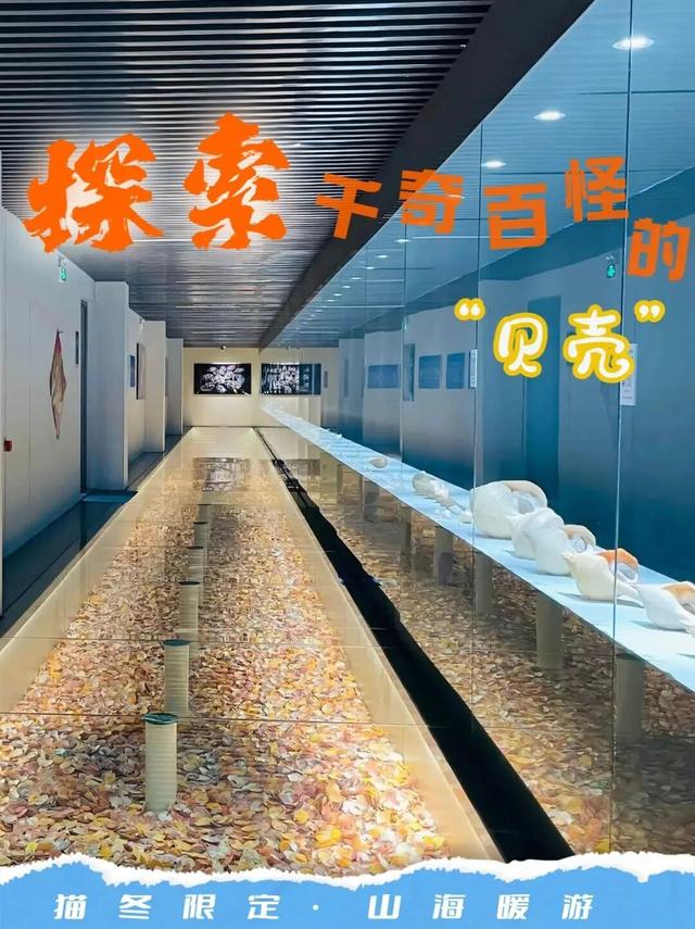 冬游山海天，全攻略来了！