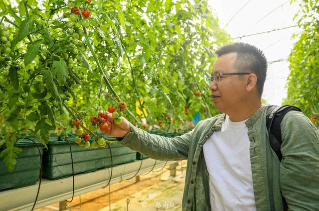 广东英德宝藏玩法：网红村/宋风古镇/仙境茶园/童话寨子全搞定