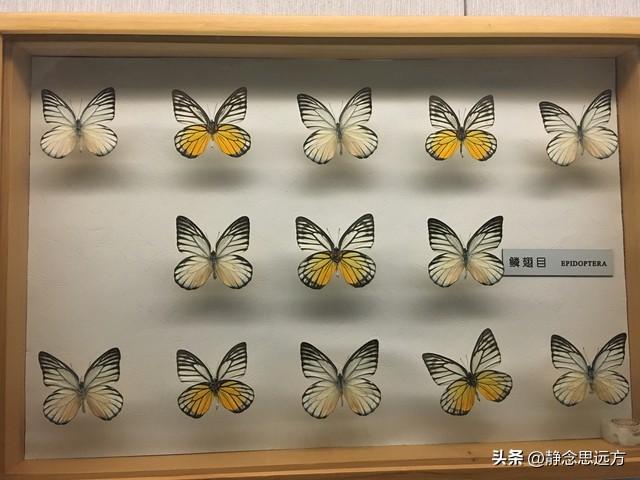 我是河南人，去了趟青海西宁，不吹不黑，西宁比网上评价的还要好