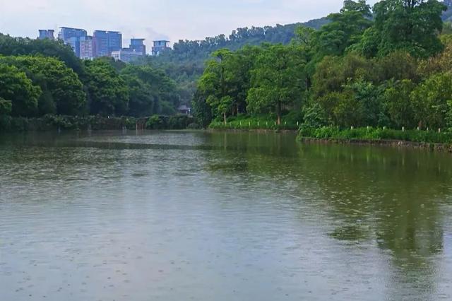 深圳高颜值公园推荐，笔架山公园，湖光山色俯瞰深圳