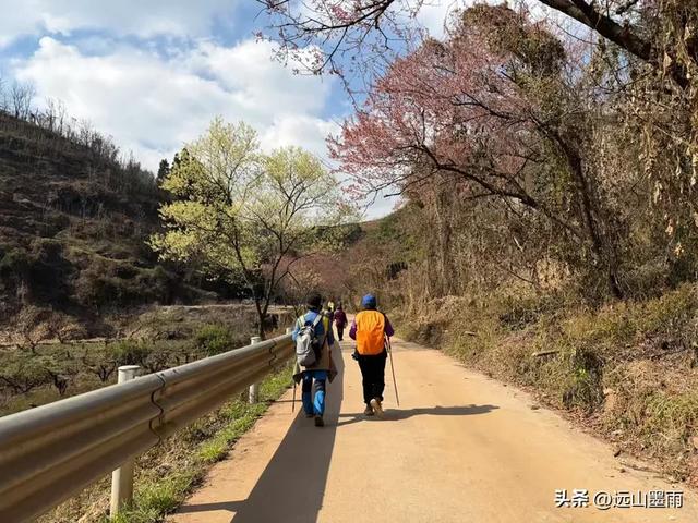 阳光明媚的冬日里,我们爬山去,逛陡坡村、看冬樱花,做晴朗的事