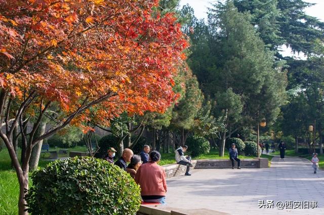 漫步在秋韵浓郁的环城公园（美图）