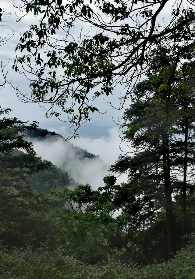 神奇骆崃山 ， 99匹骏马想与你相见