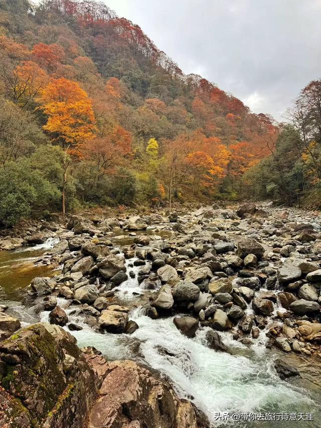 光雾山秋色斑斓,迎来23届光雾山国际红叶节