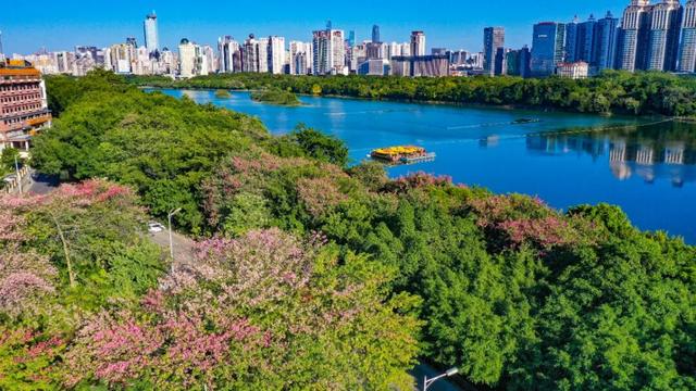 “粉”了！这份南宁人私藏的“粉色宝藏地图”送给您