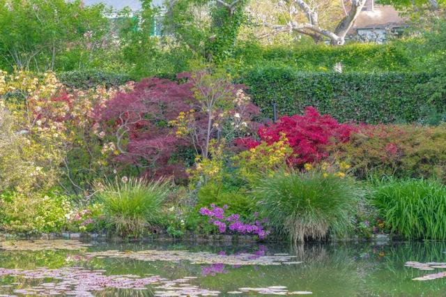 九天四国八城，从莫奈到梵高，这路线不私藏了，每年只有八周能去