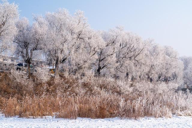 强烈建议！1 月一定要去一次雾凇岛！不愧是中国必看雾凇之一！