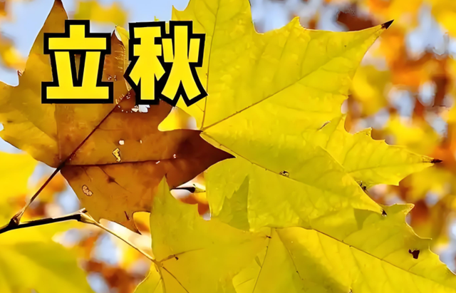 今日立秋，60年一遇，既是“黄金秋”，又是“正秋”，有何预兆？