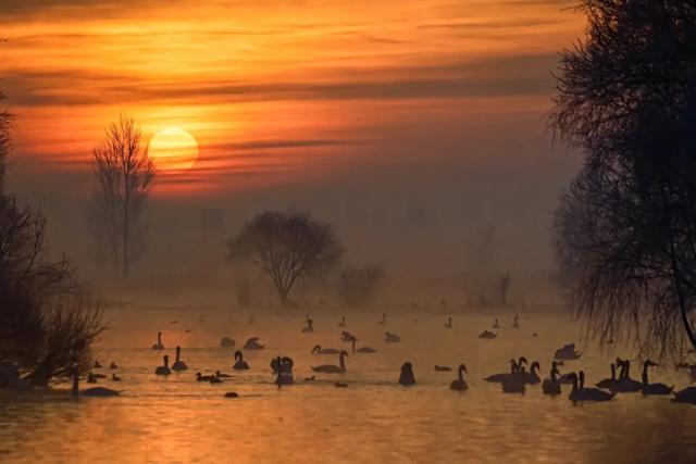 如要选一个冬季最佳拍雪景的地方，首选一定是它