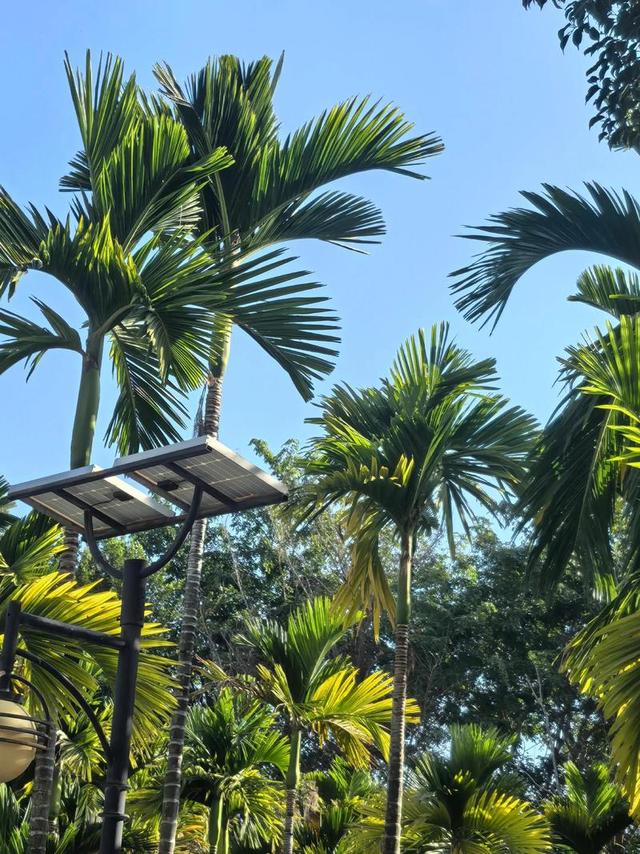 封关时刻！海南自贸港"晶莹切片"，从电影节到航天港的全球化进阶