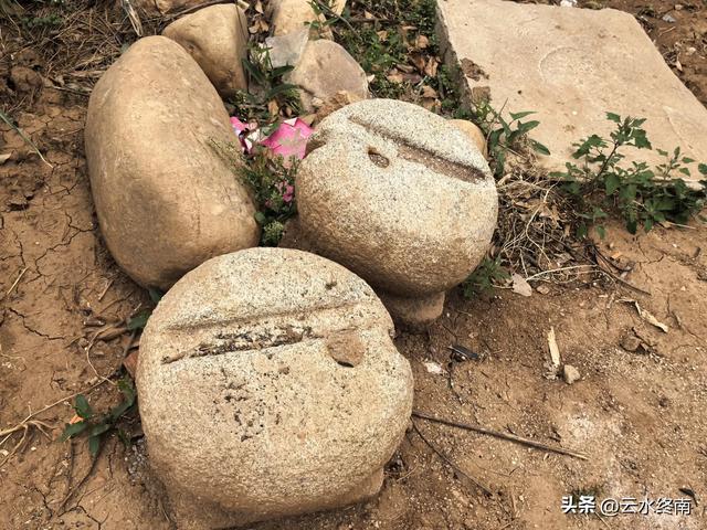 蓝田这村子人才济济，当朝正三品官员都不算啥，有传承就是不一样