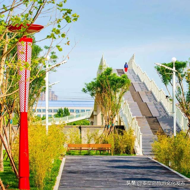 秦皇岛最大临海公园迎来“颜值巅峰”，栈桥听海、枫林斑斓，打卡走起！