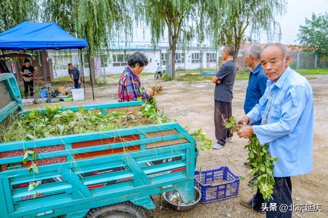 汇聚两地风味！延庆下营大集原来这么好逛
