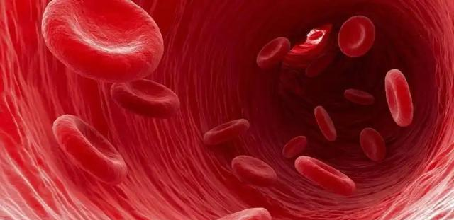 为什么健身的人不喜欢练腿？几个原因告诉你：练腿的重要性