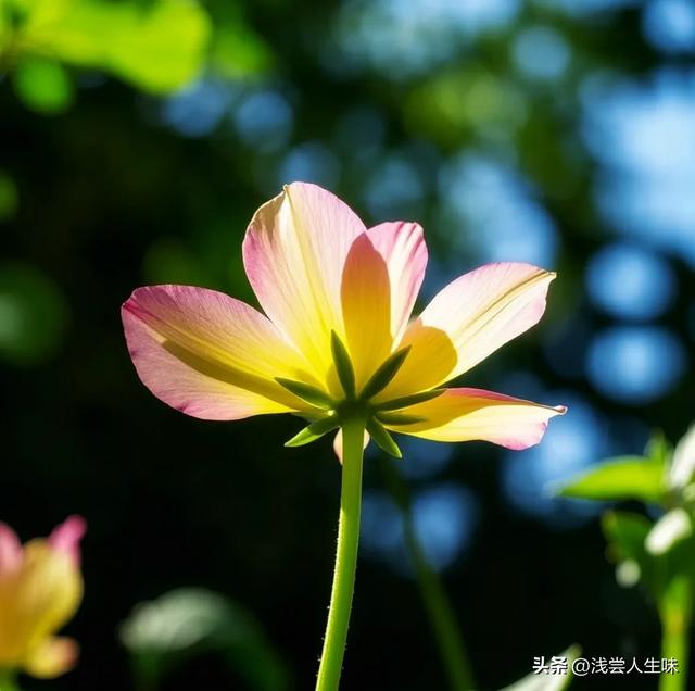 搞定50岁女人最高级的套路：不是讨好，而是让她上瘾的4个暗招！