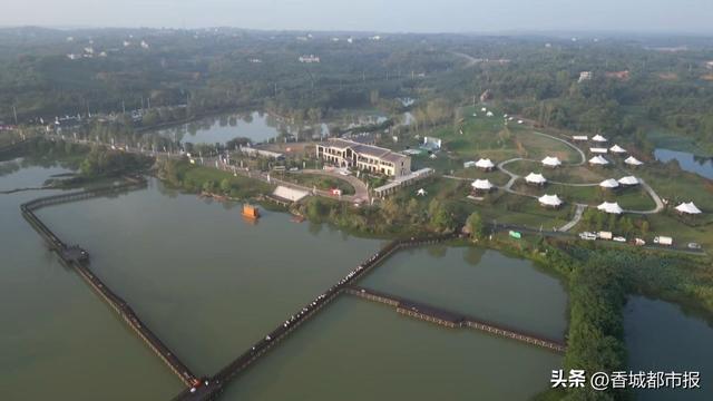 湖光映濠江 研学润童心——澳门学子向阳湖湿地的生态文化之约