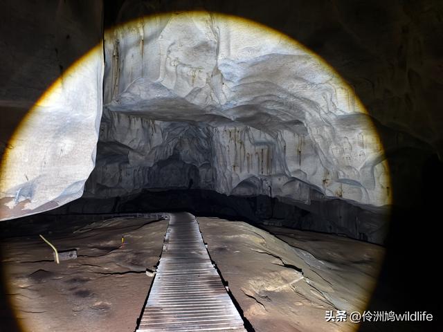 马来西亚(32)砂拉越州⑥世界遗产尼亚洞窟探险